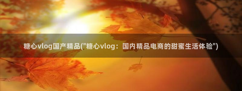 糖心vlog车模体验：糖心vlog国产精