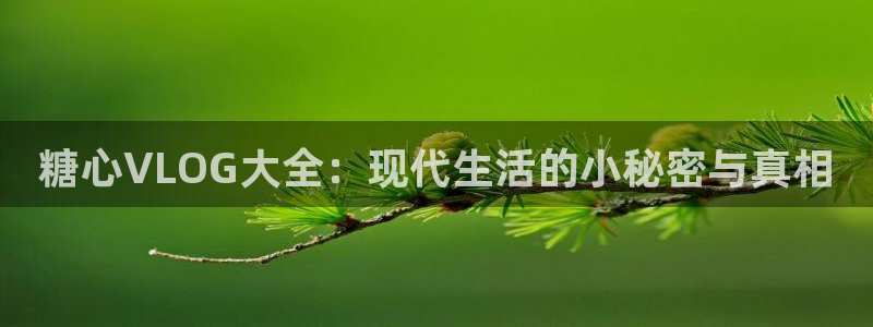 糖心vlog金币会员