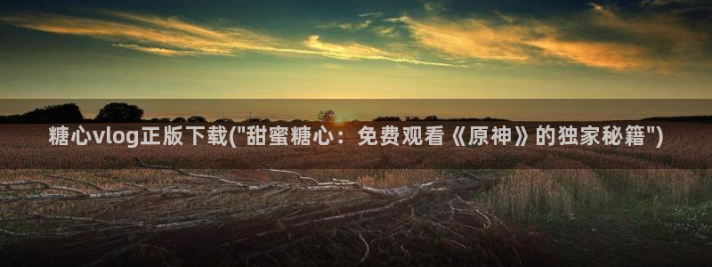 糖心vlog系列网站