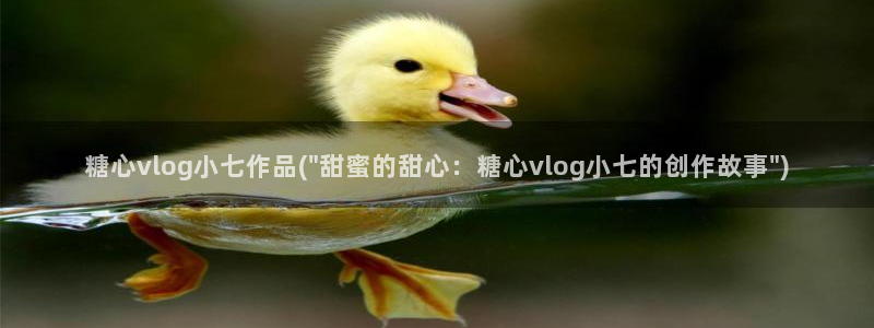 糖心vlog洛丽塔少女：糖心vlog小七