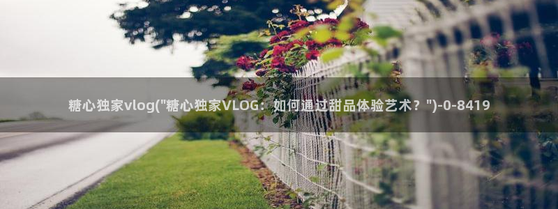 糖心vlog色情