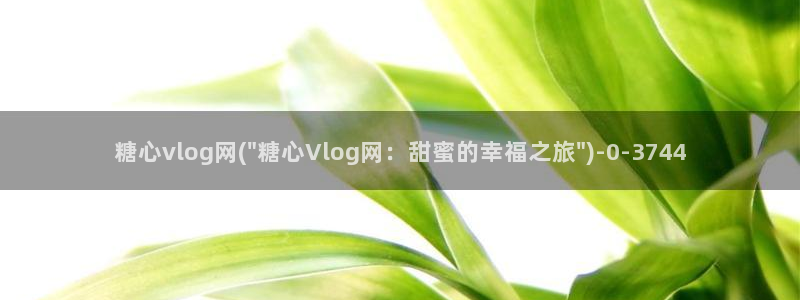 糖心vlog圣诞