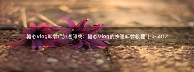糖心vlog1.1.0
