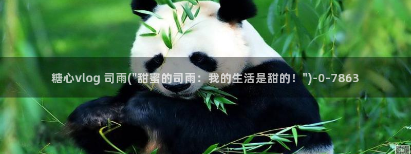 糖心 vlog 在线