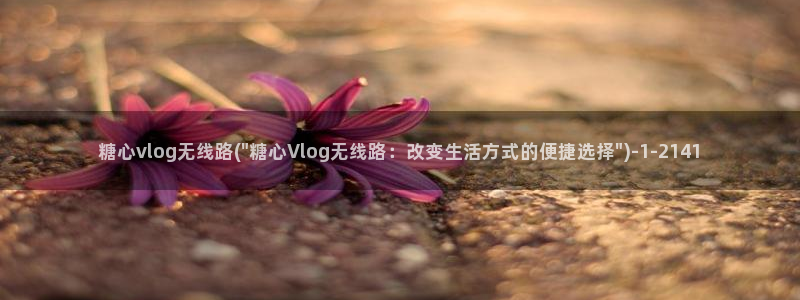 多乙糖心vlog
