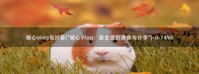 心糖vlog女主