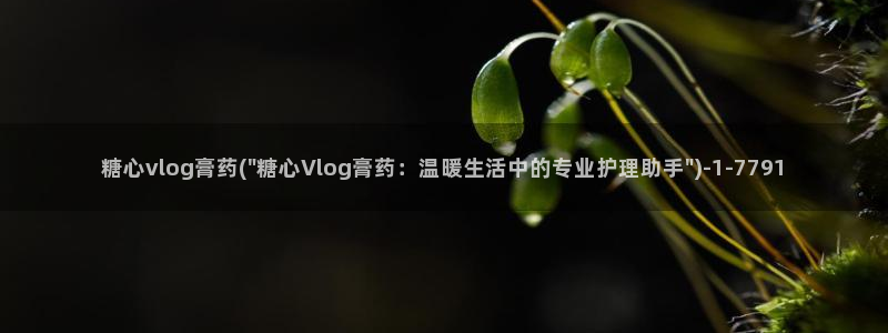 糖心vlog1.3