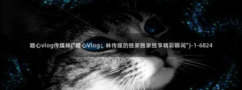 糖心vlog系列合集：糖心vlog传媒林(\