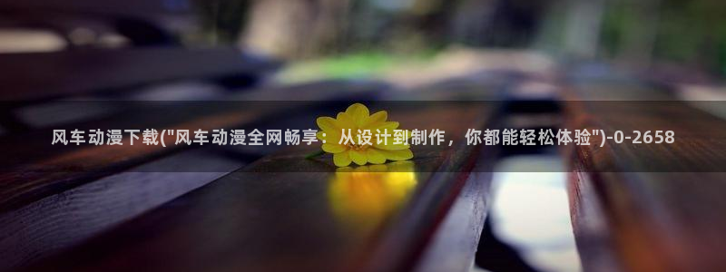 动漫培训