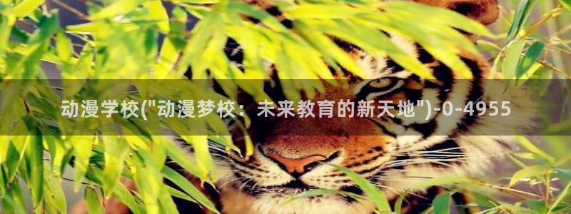 在线动漫