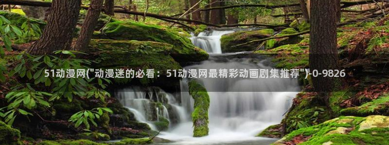 动漫小说